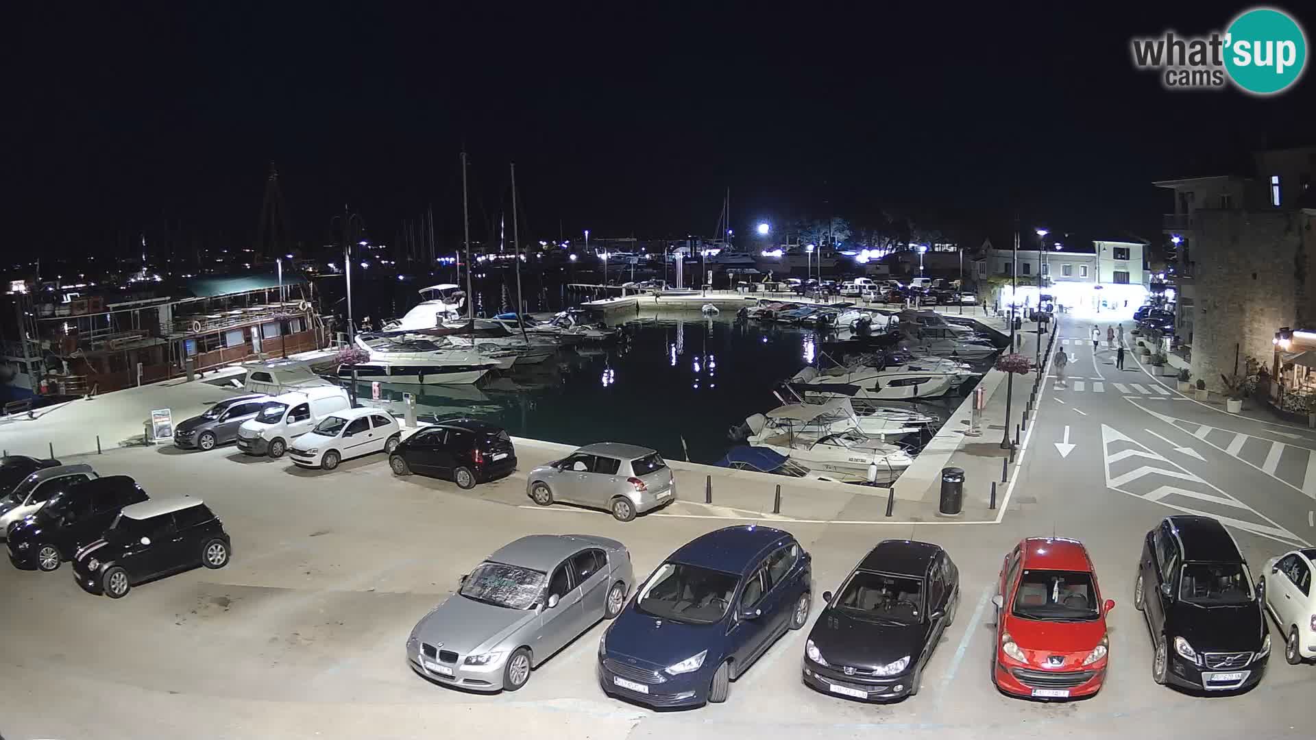 Novigrad | Porporela marina