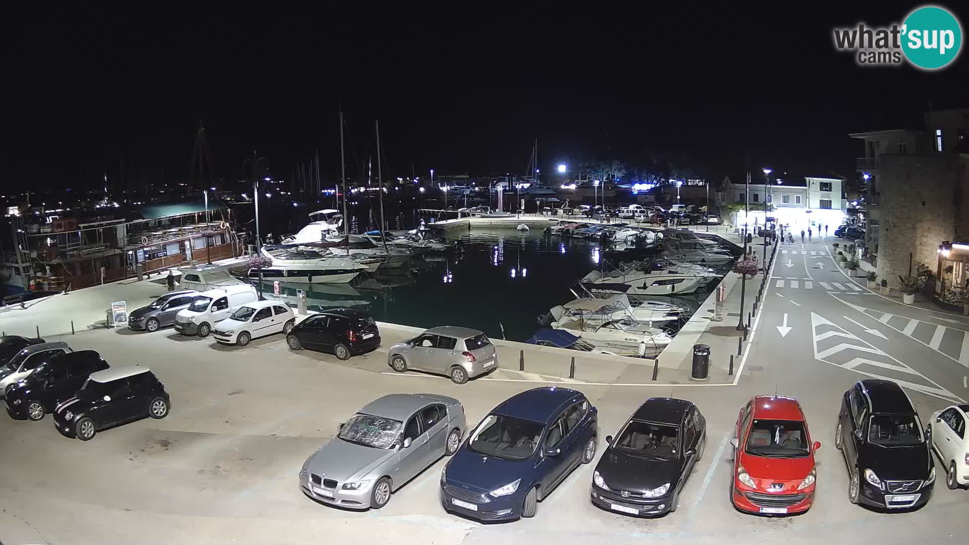 Novigrad | Porporela marina