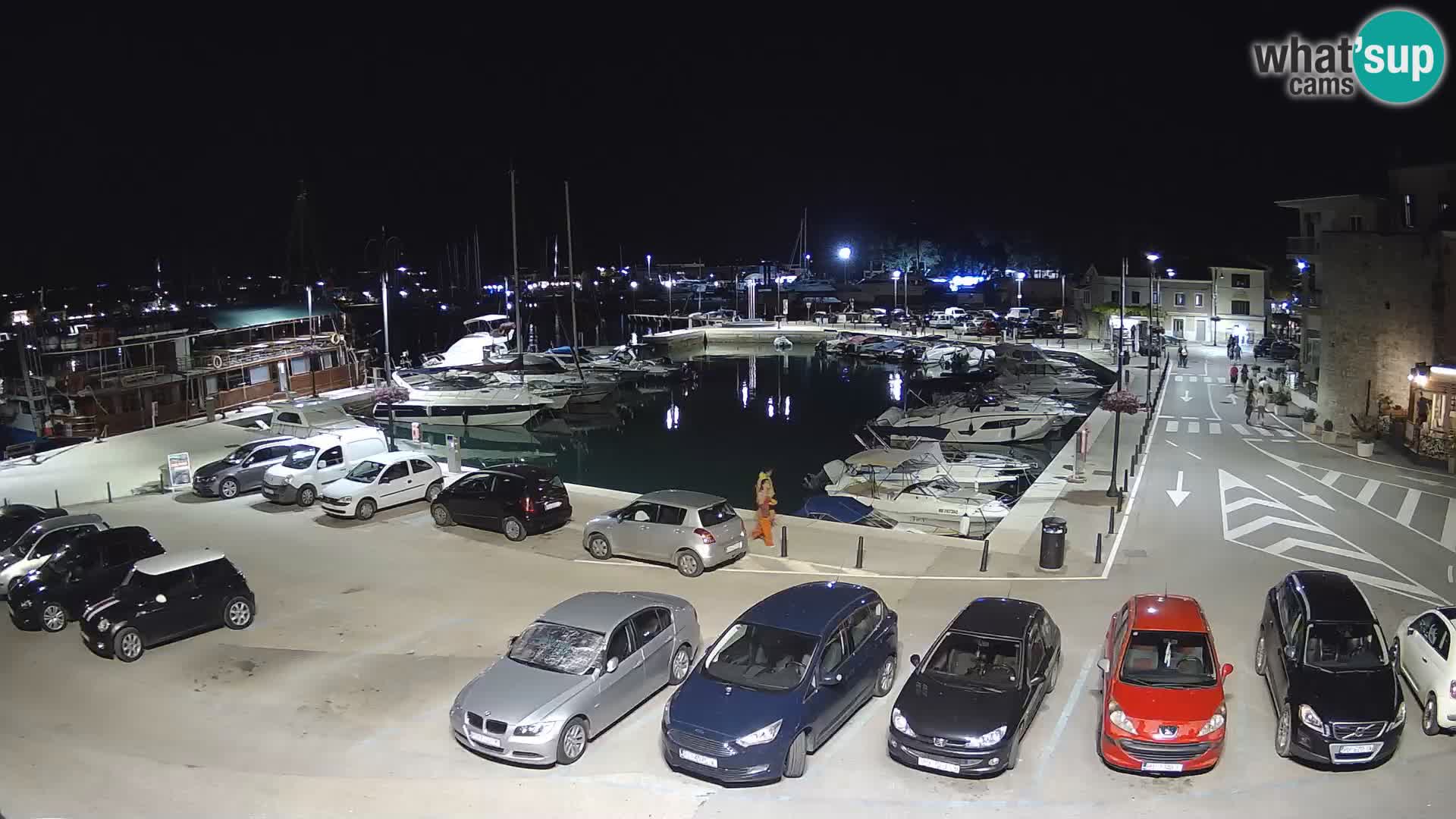 Novigrad | Porporela marina
