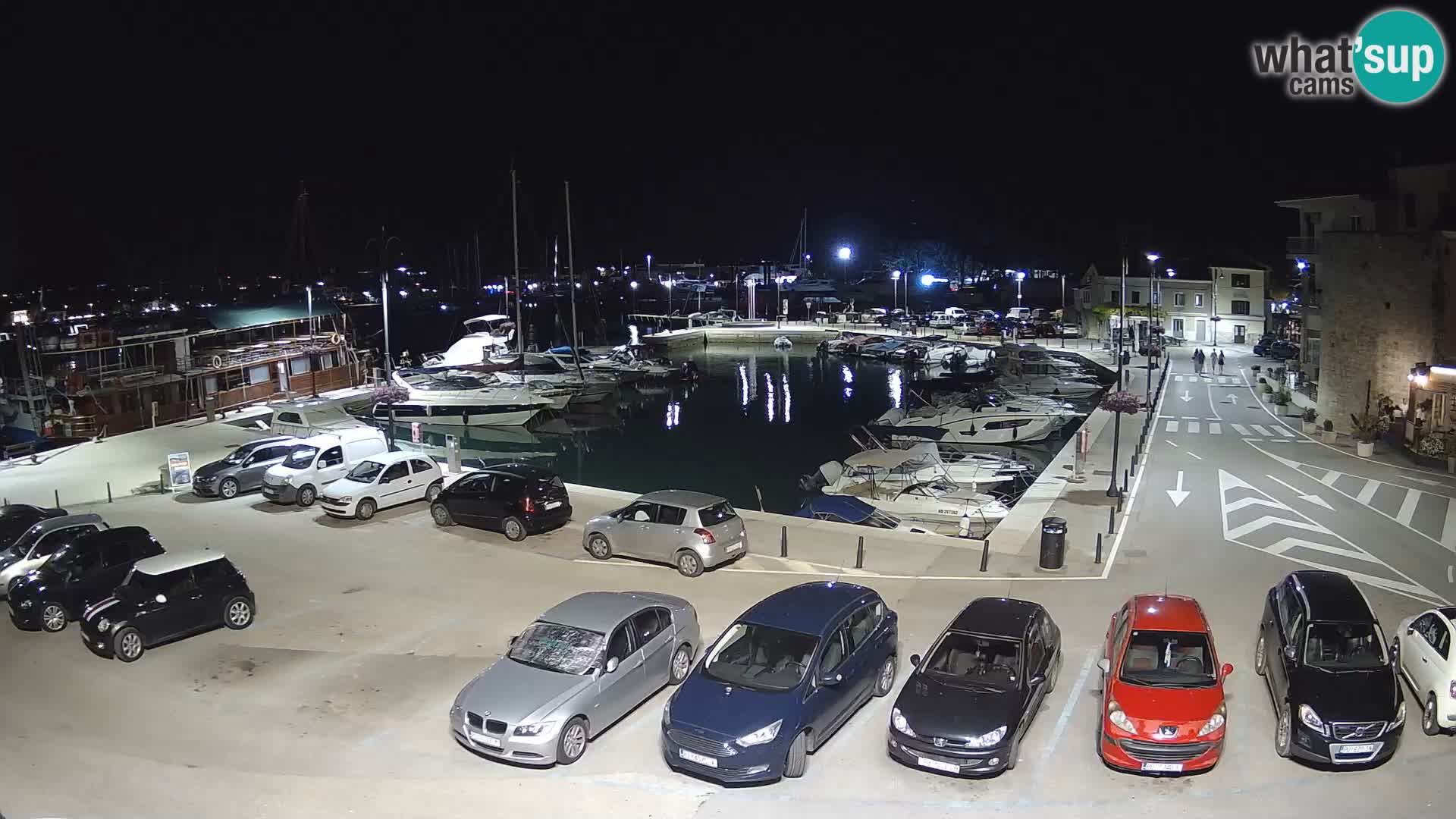 Novigrad | Porporela marina