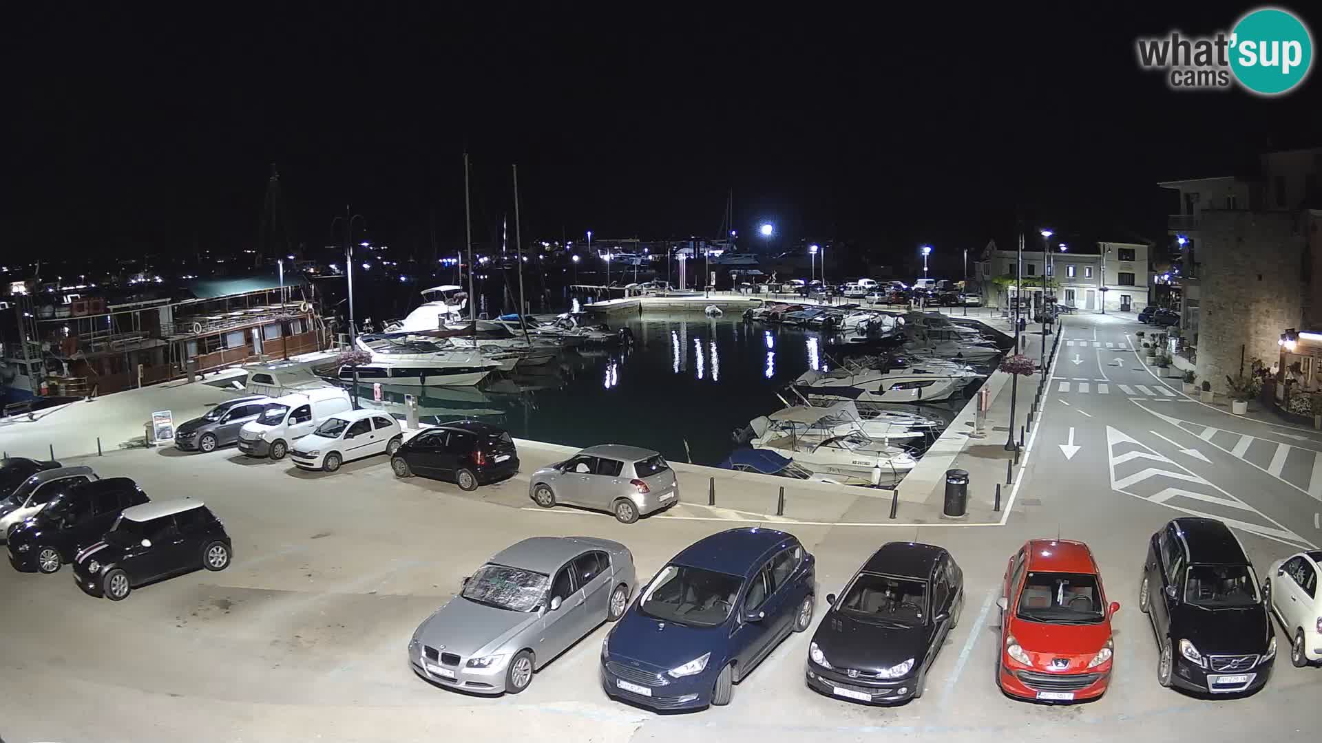 Novigrad | Porporela marina