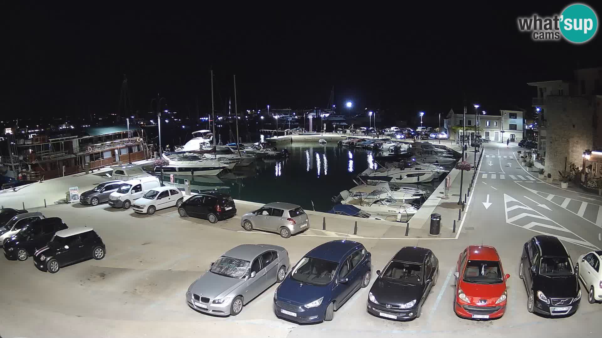 Novigrad | Porporela marina