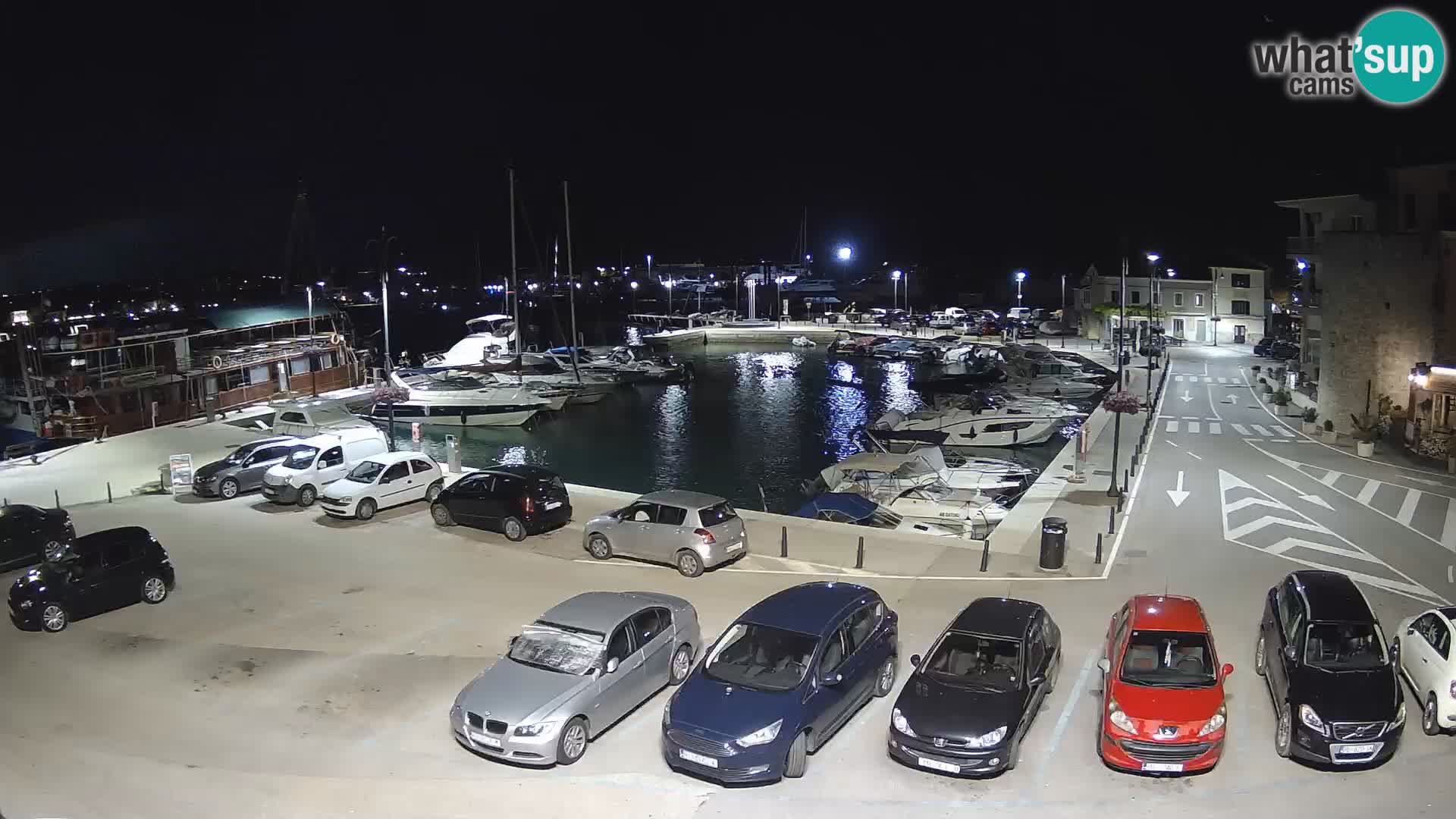 Novigrad | Porporela marina