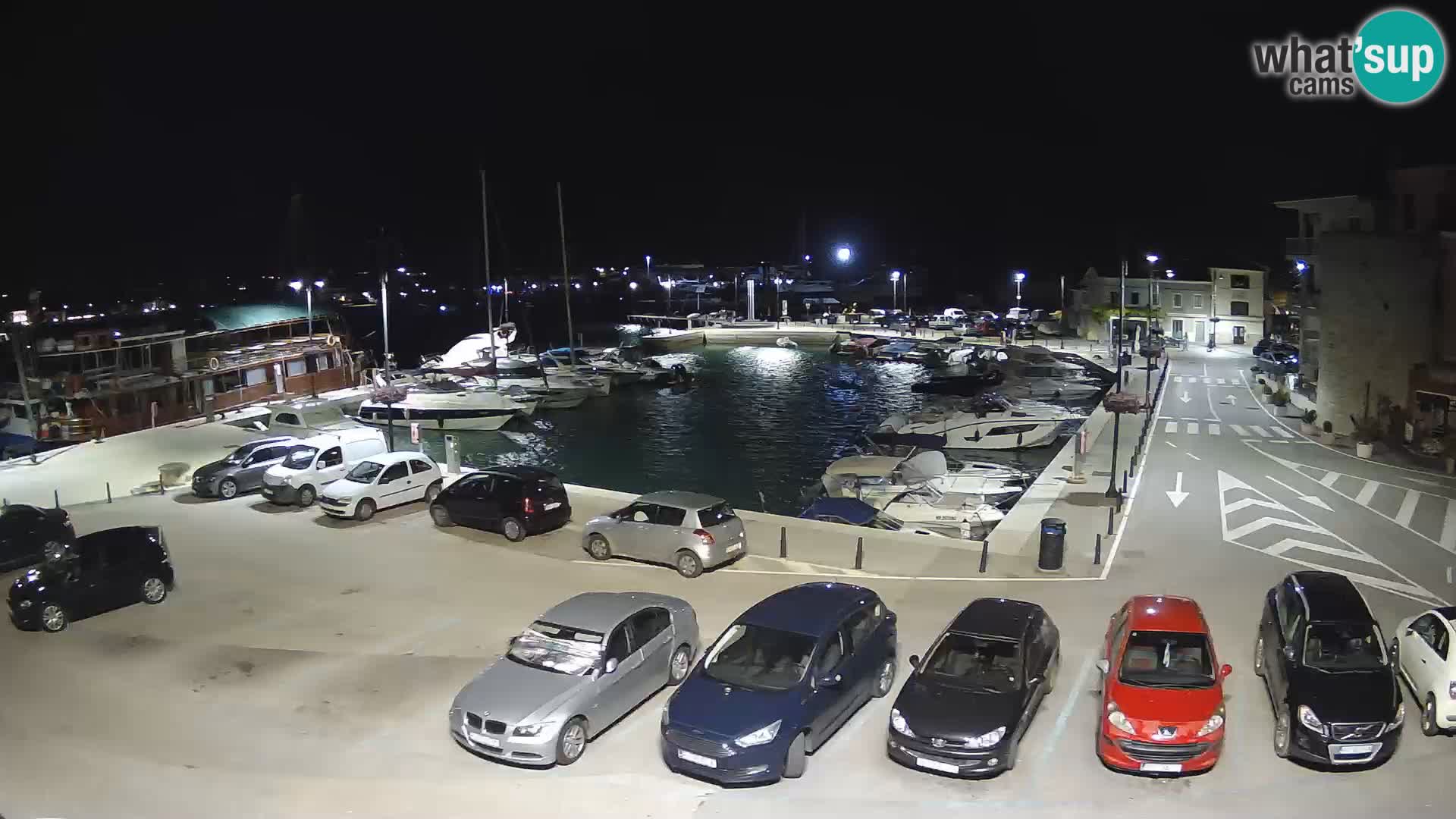 Novigrad | Porporela marina