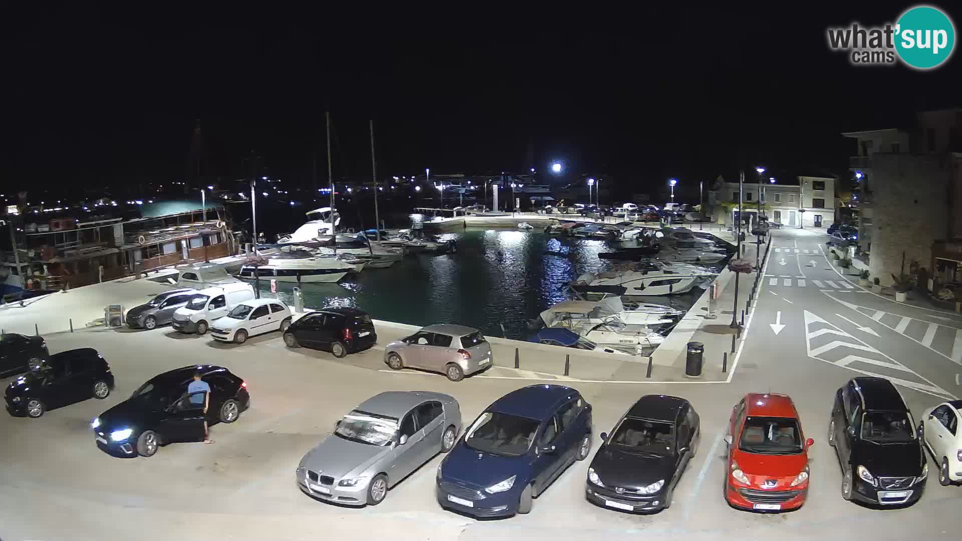 Novigrad | Porporela marina