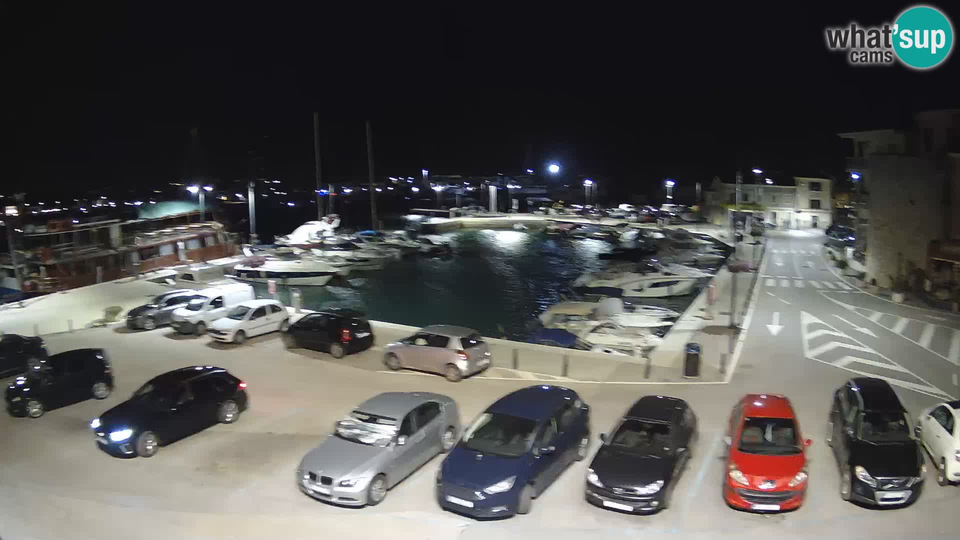 Novigrad | Porporela marina