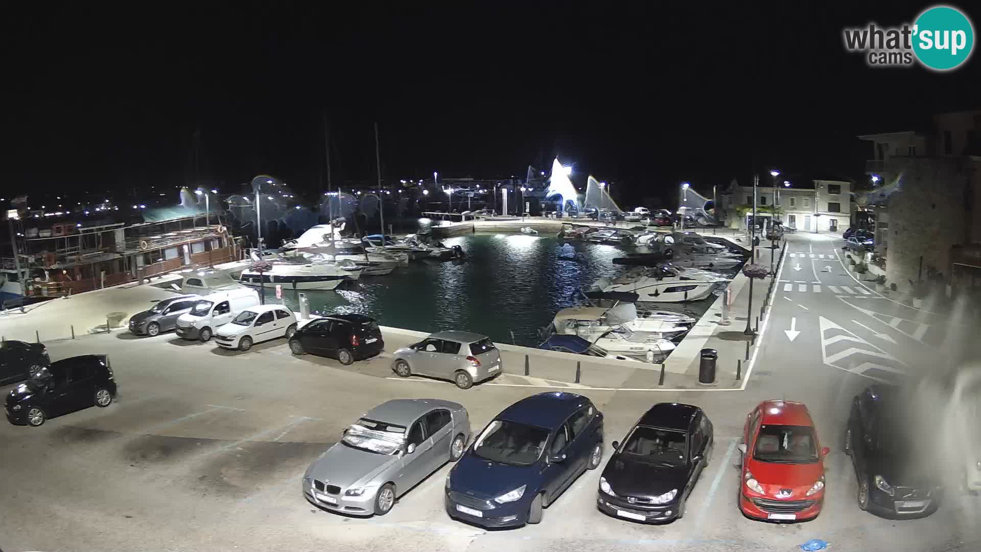 Novigrad | Porporela marina