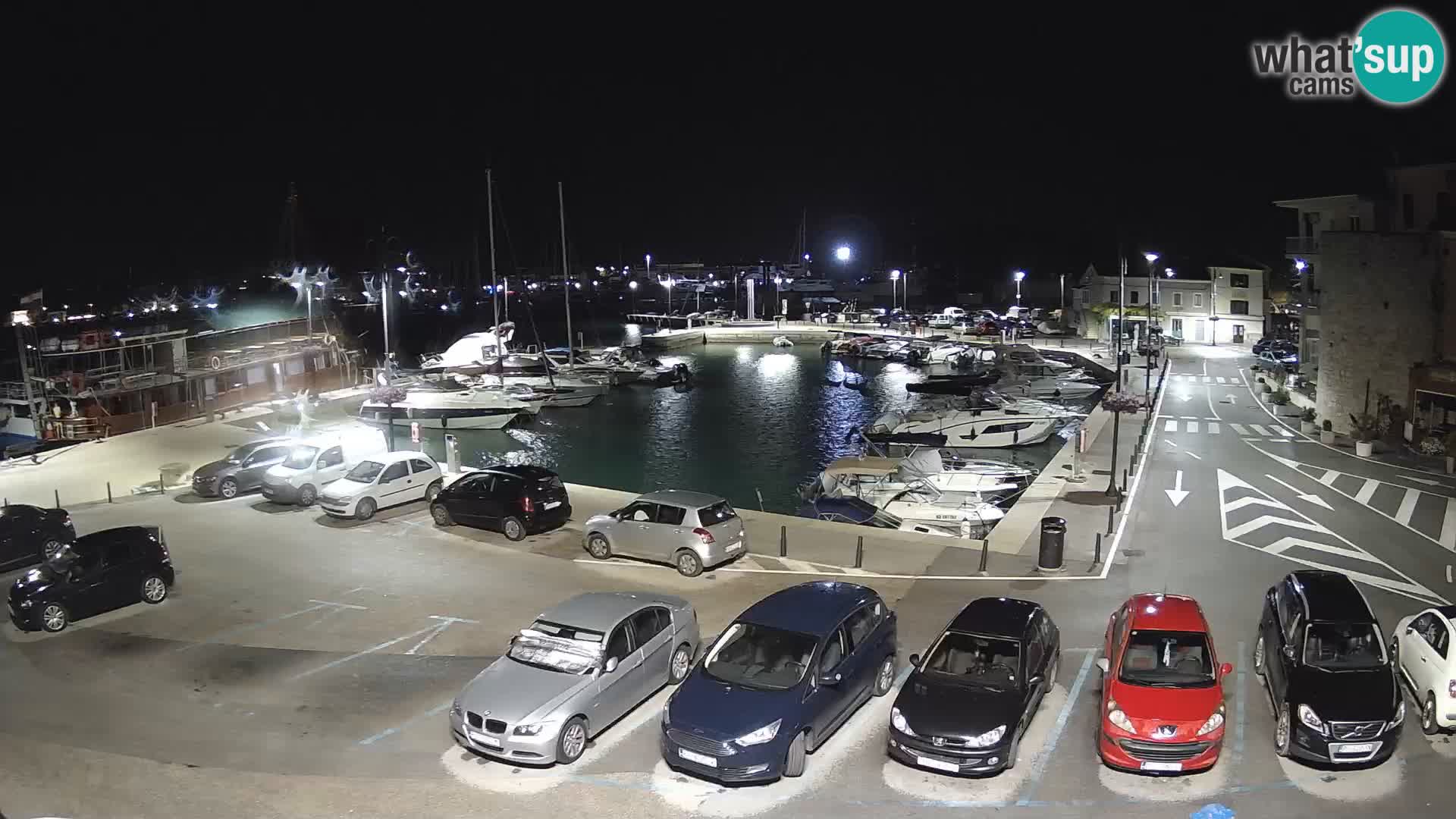 Novigrad | Porporela marina