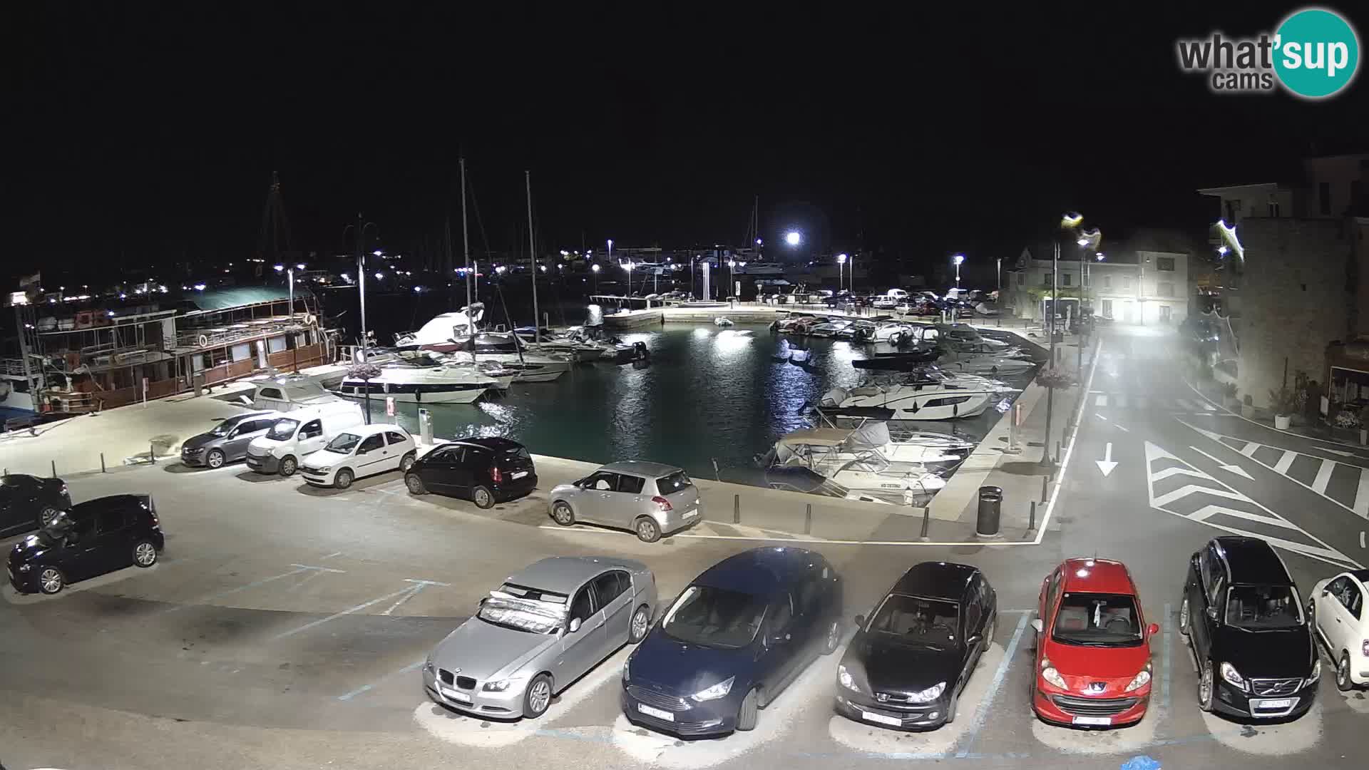 Novigrad | Porporela marina