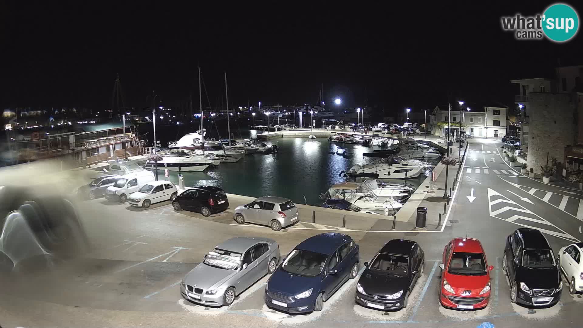 Novigrad | Porporela marina
