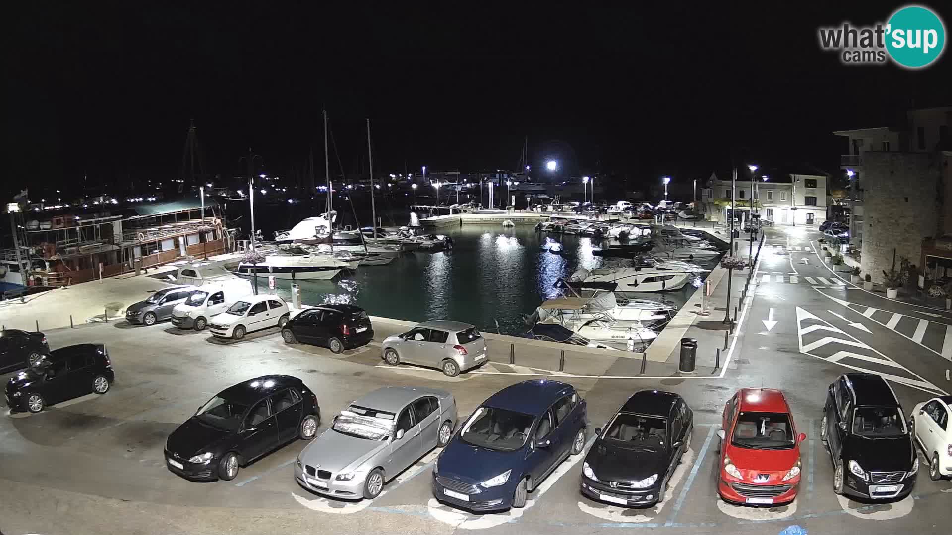 Novigrad | Porporela marina