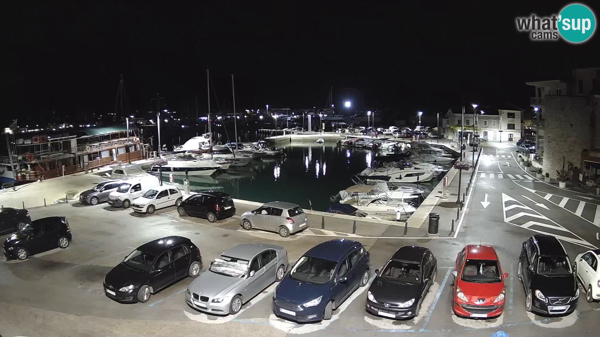 Novigrad | Porporela marina