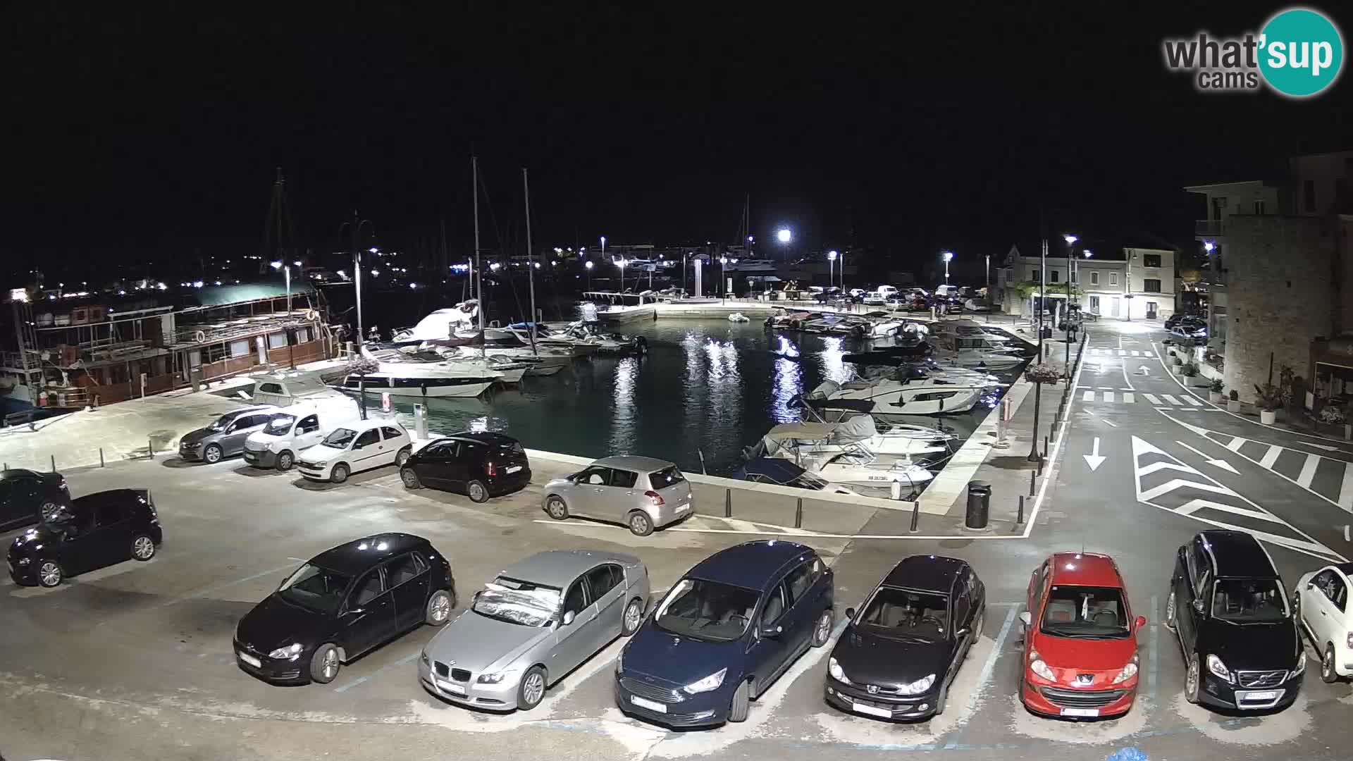 Novigrad | Porporela marina