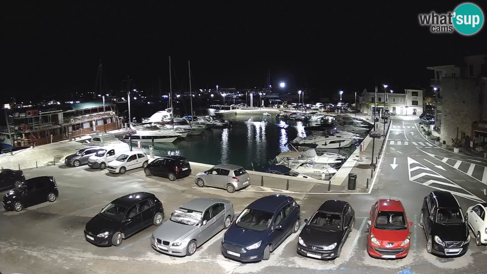 Novigrad | Porporela marina