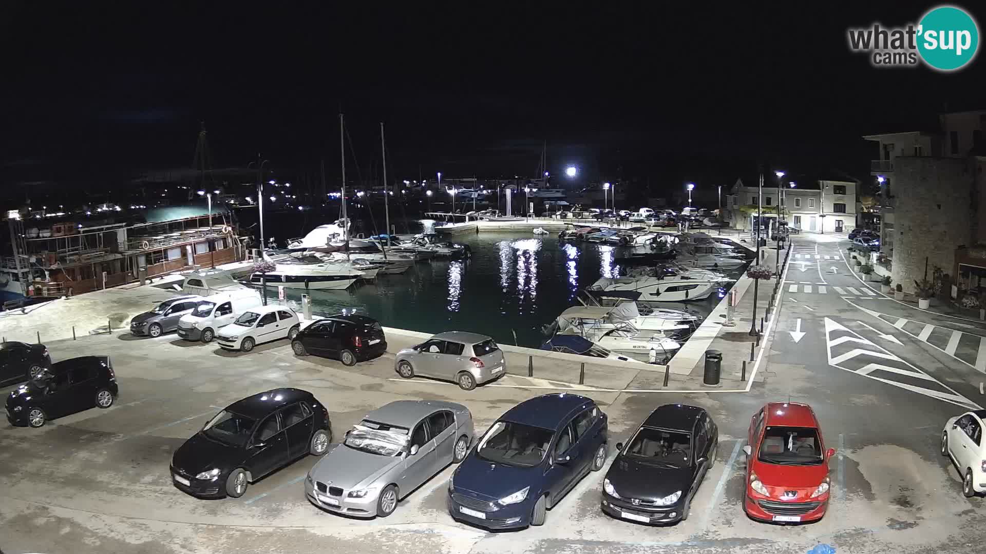 Novigrad | Porporela marina
