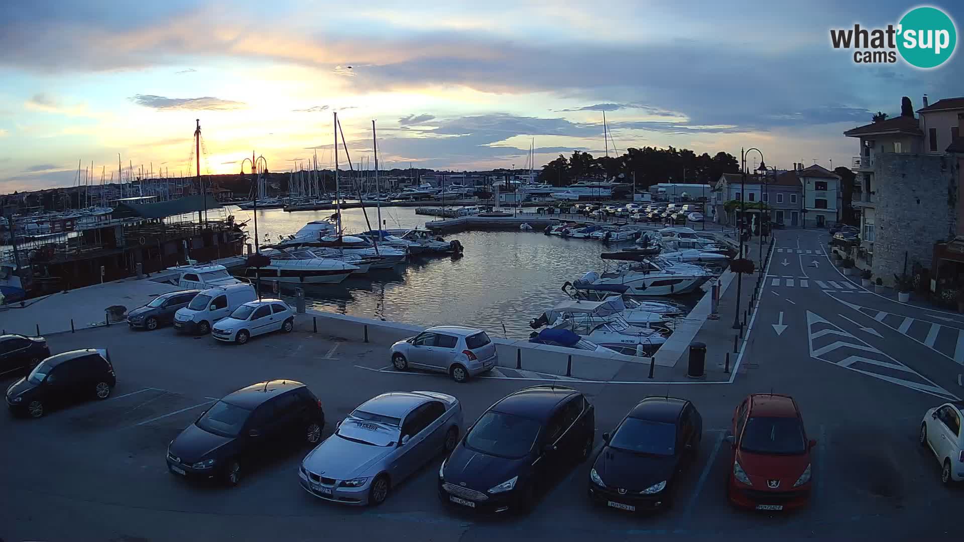 Novigrad | Porporela marina
