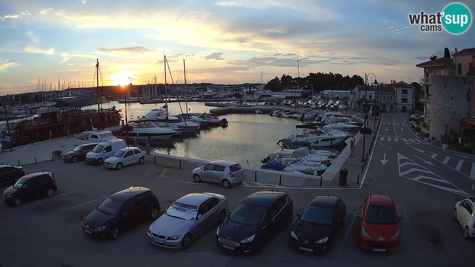 Novigrad | Porporela marina