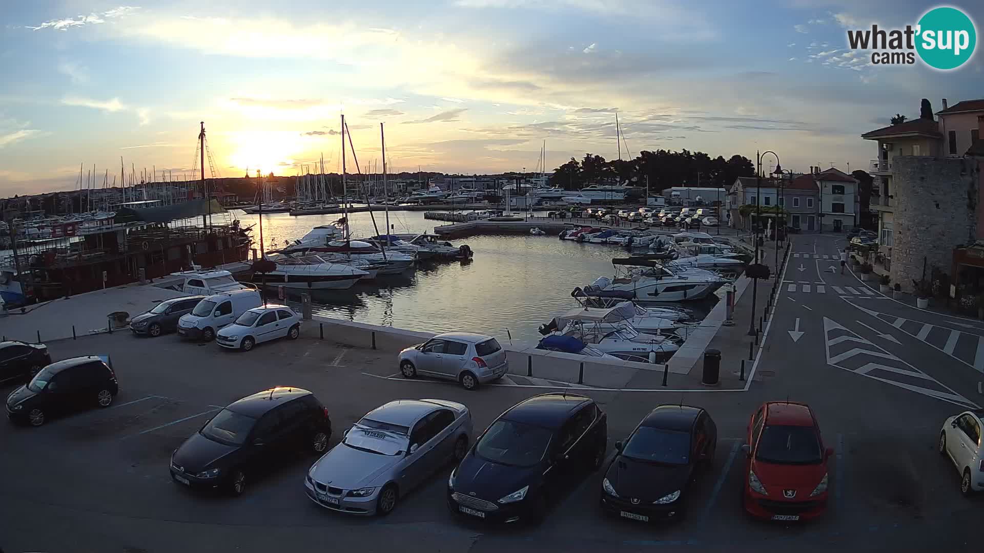 Novigrad | Porporela marina