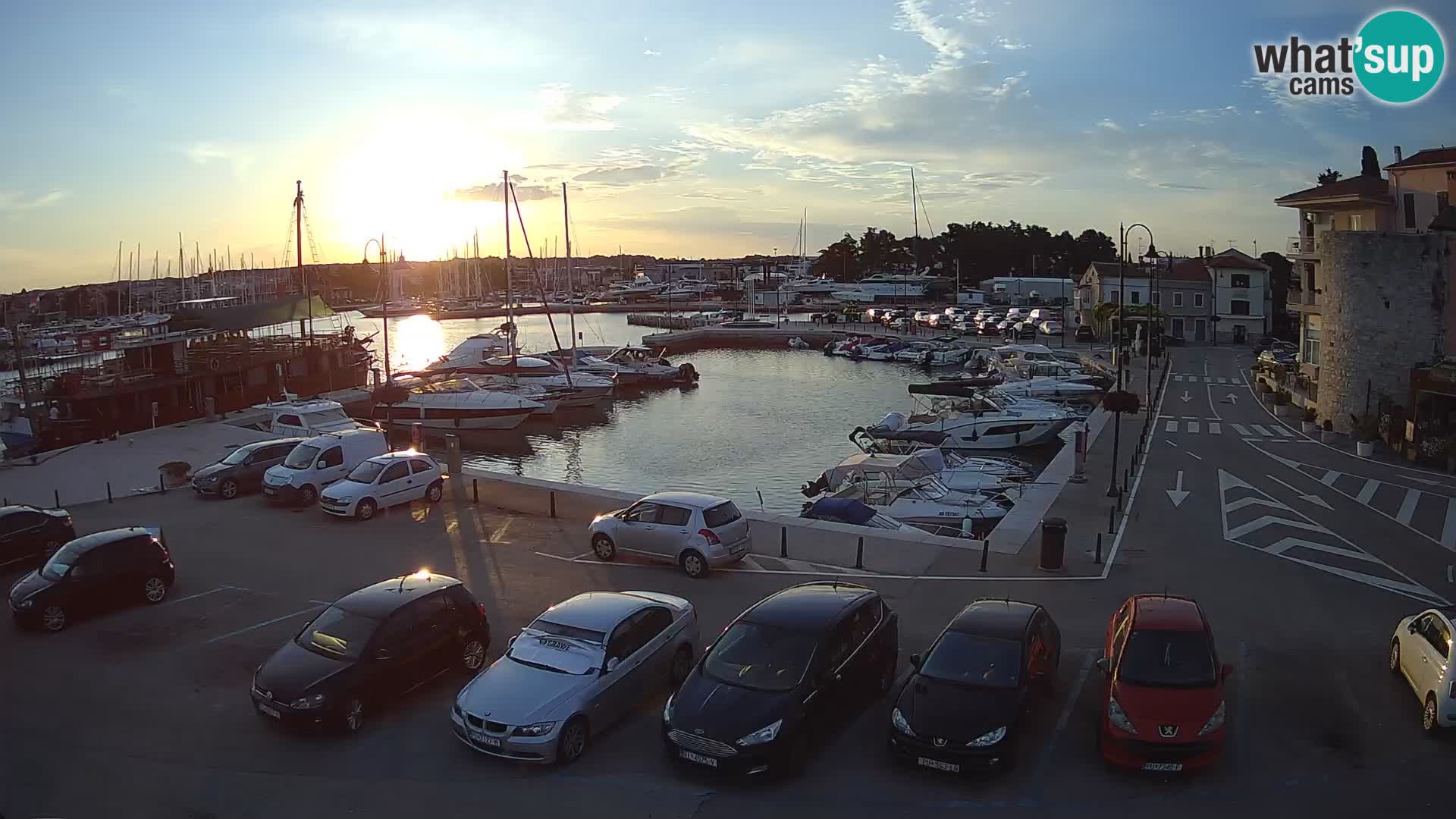Novigrad | Porporela marina