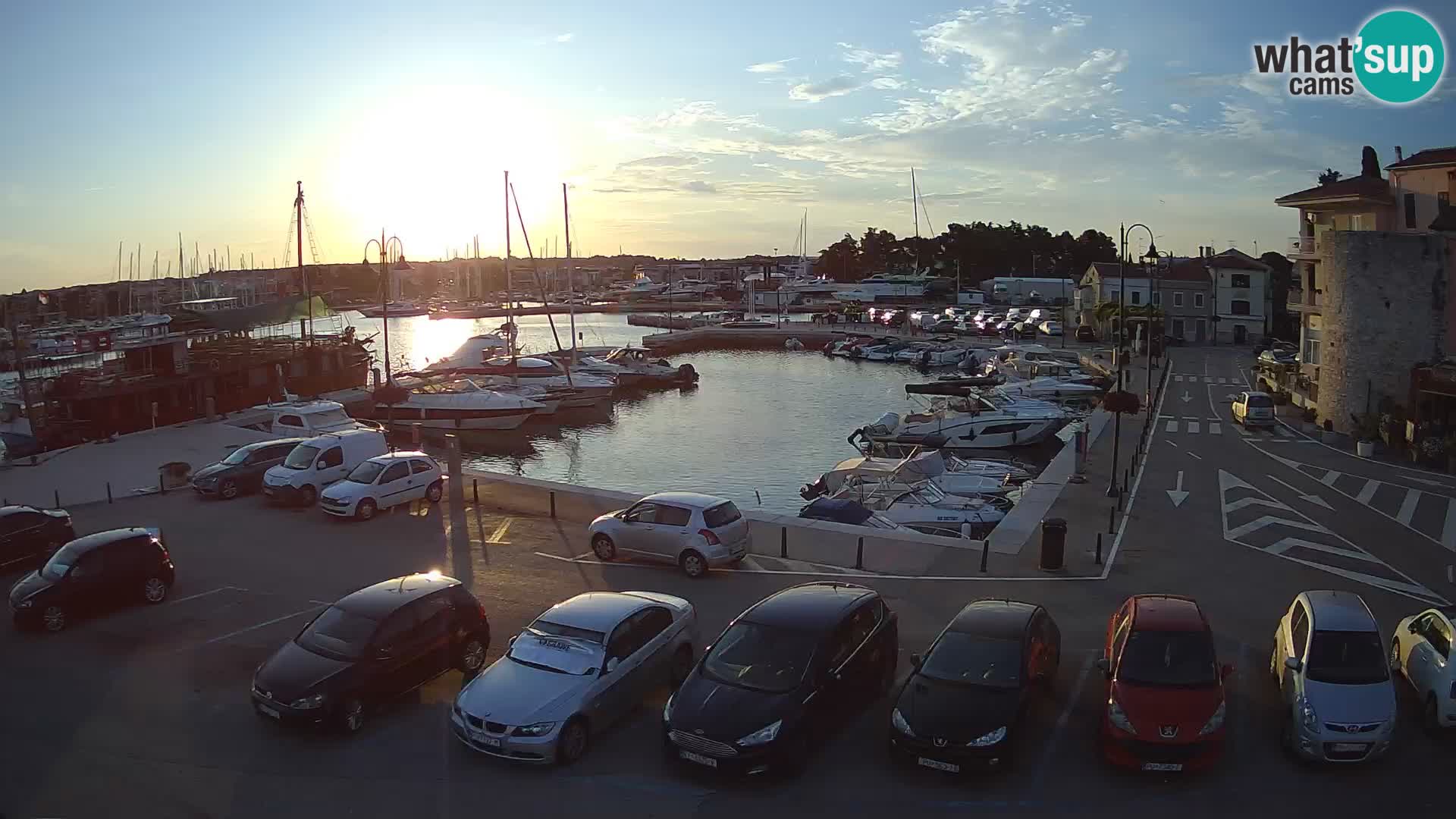 Novigrad | Porporela marina