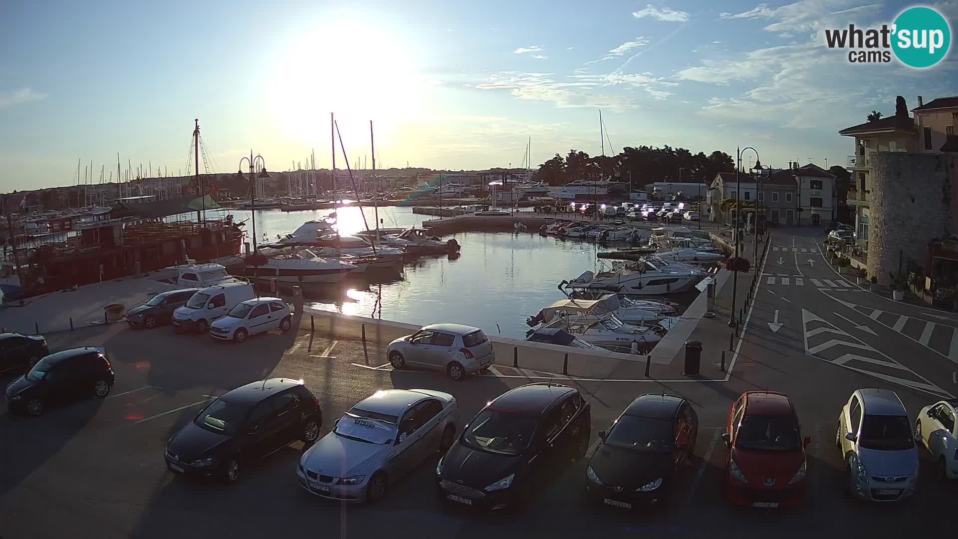 Novigrad | Porporela marina
