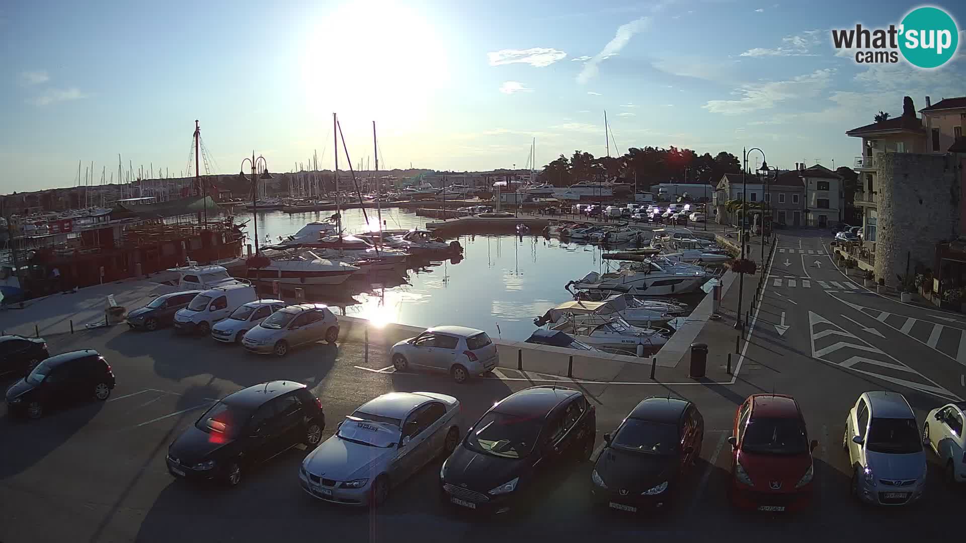 Novigrad | Porporela marina