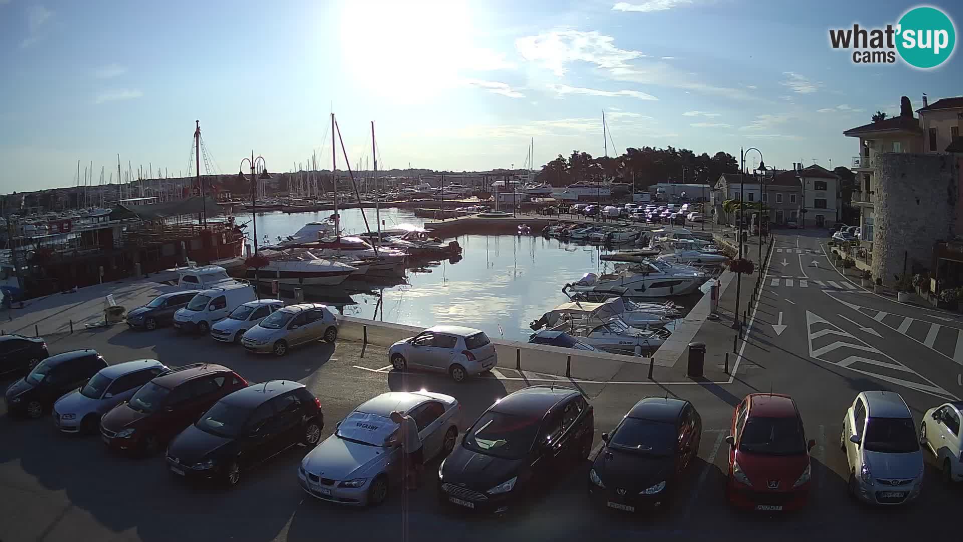Novigrad | Porporela marina