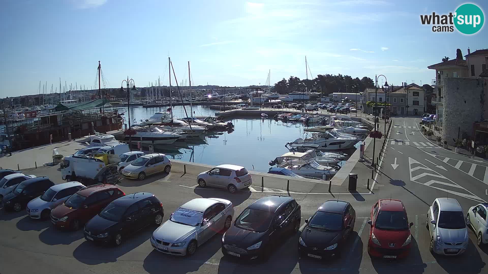 Novigrad | Porporela marina