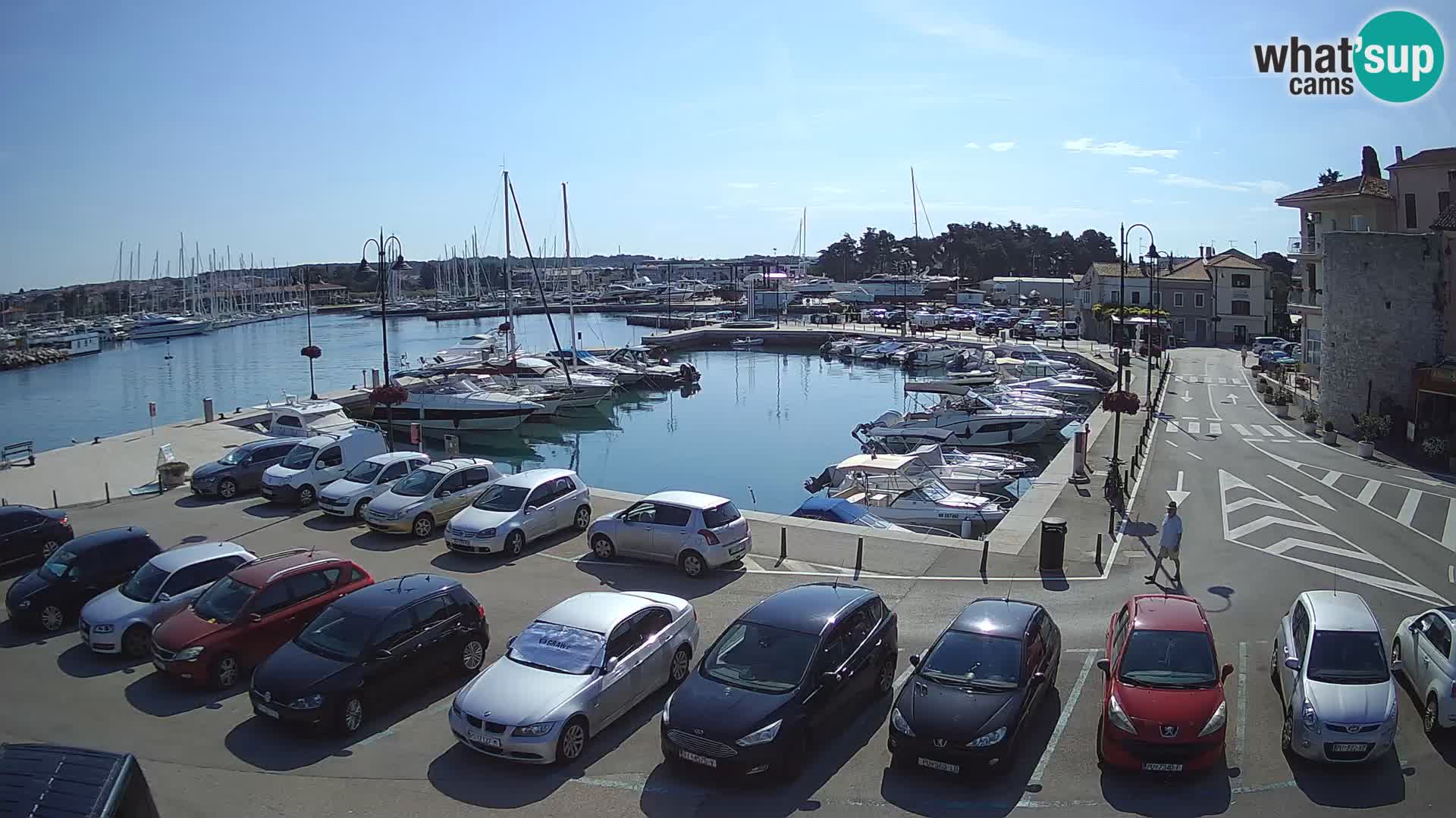 Novigrad | Porporela marina