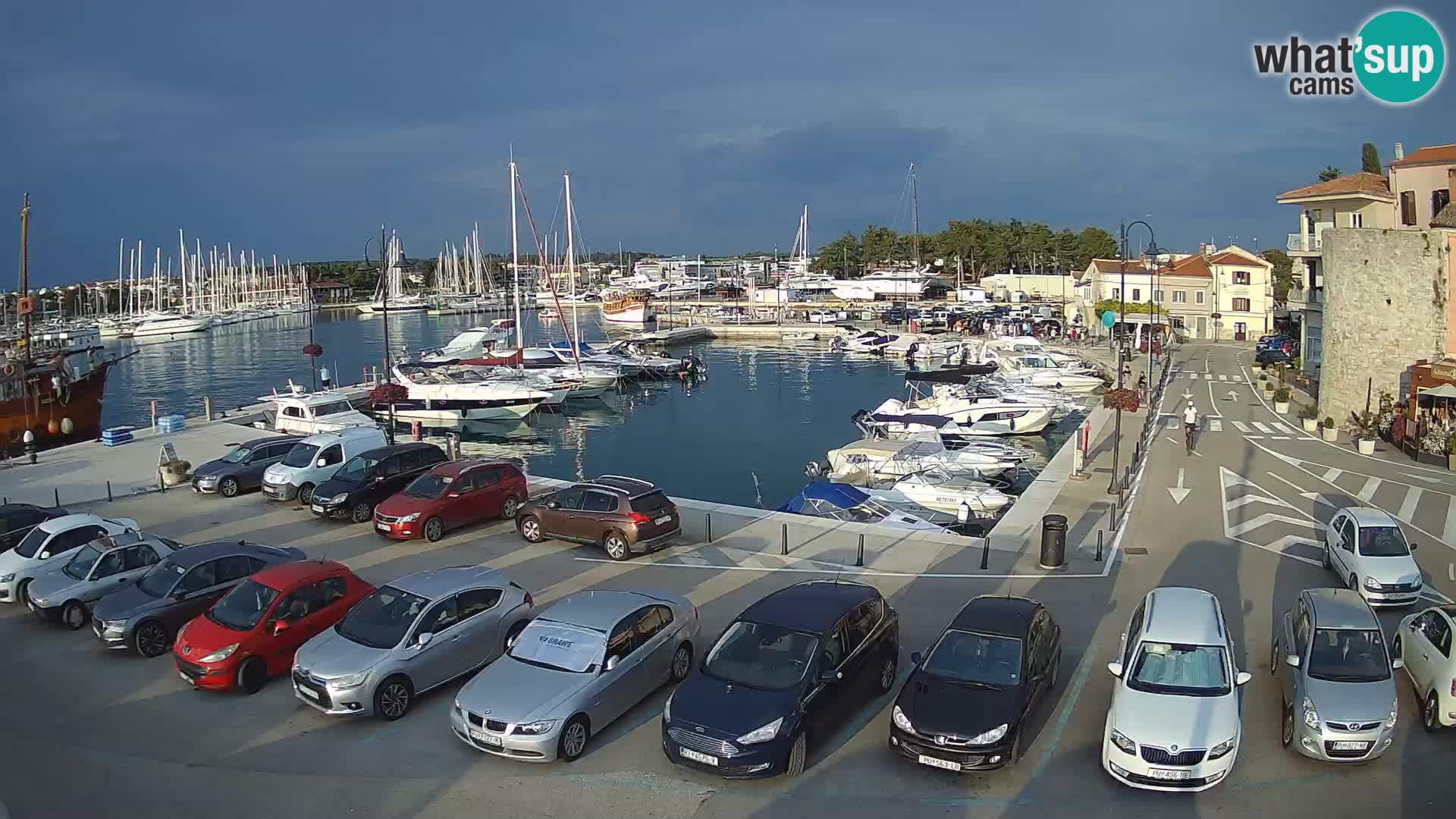 Novigrad | Porporela marina