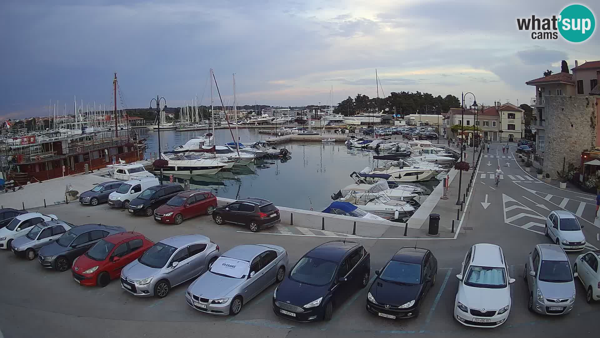 Novigrad | Porporela marina