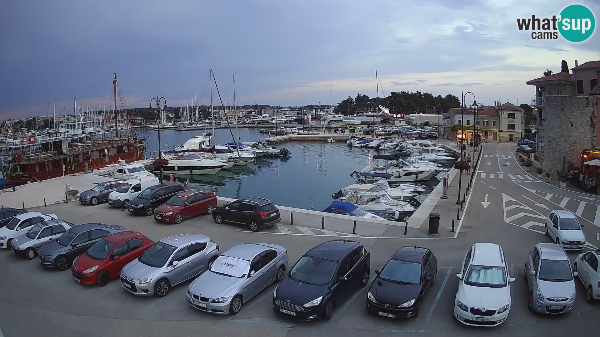 Novigrad | Porporela marina