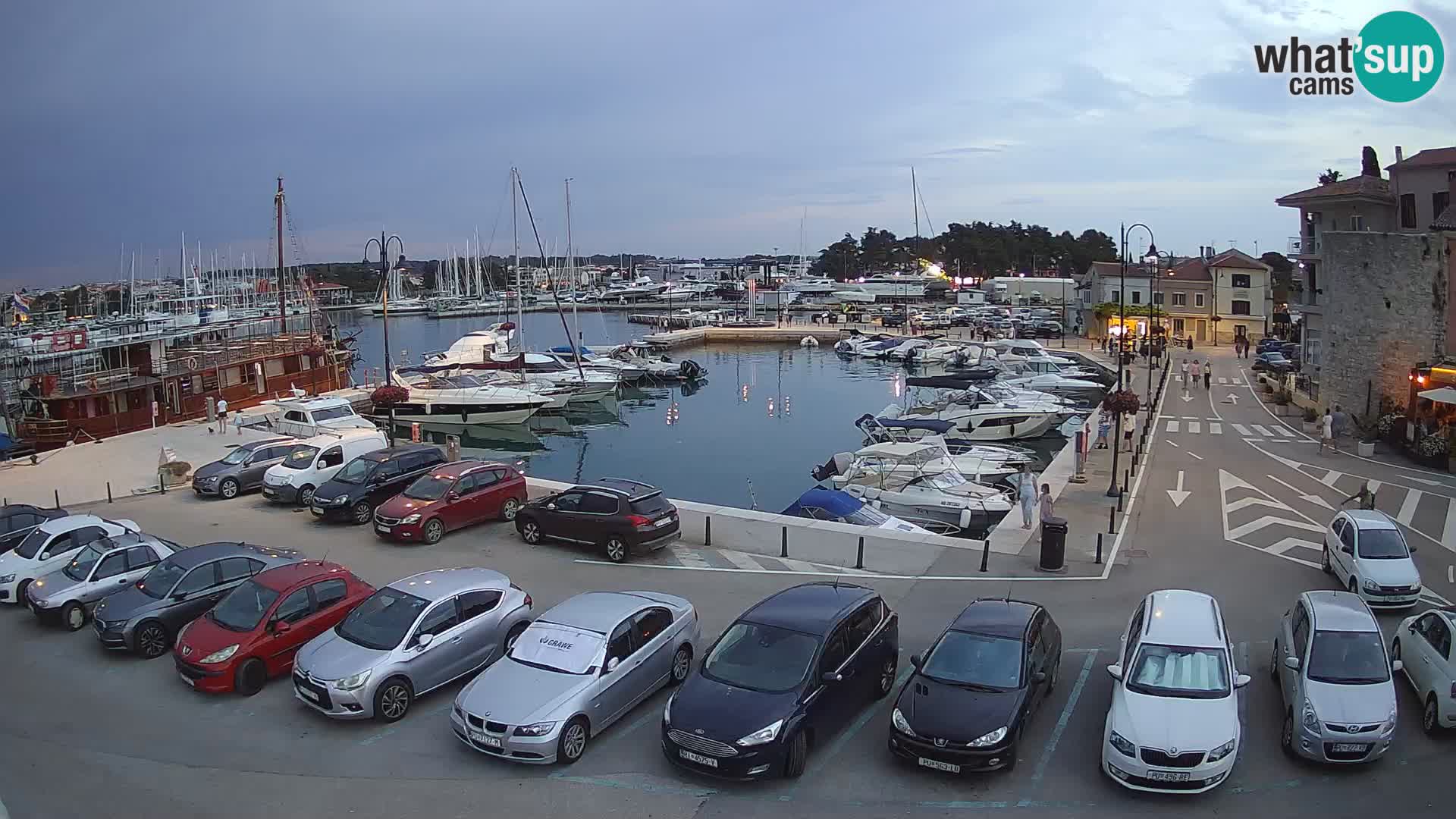 Novigrad | Porporela marina