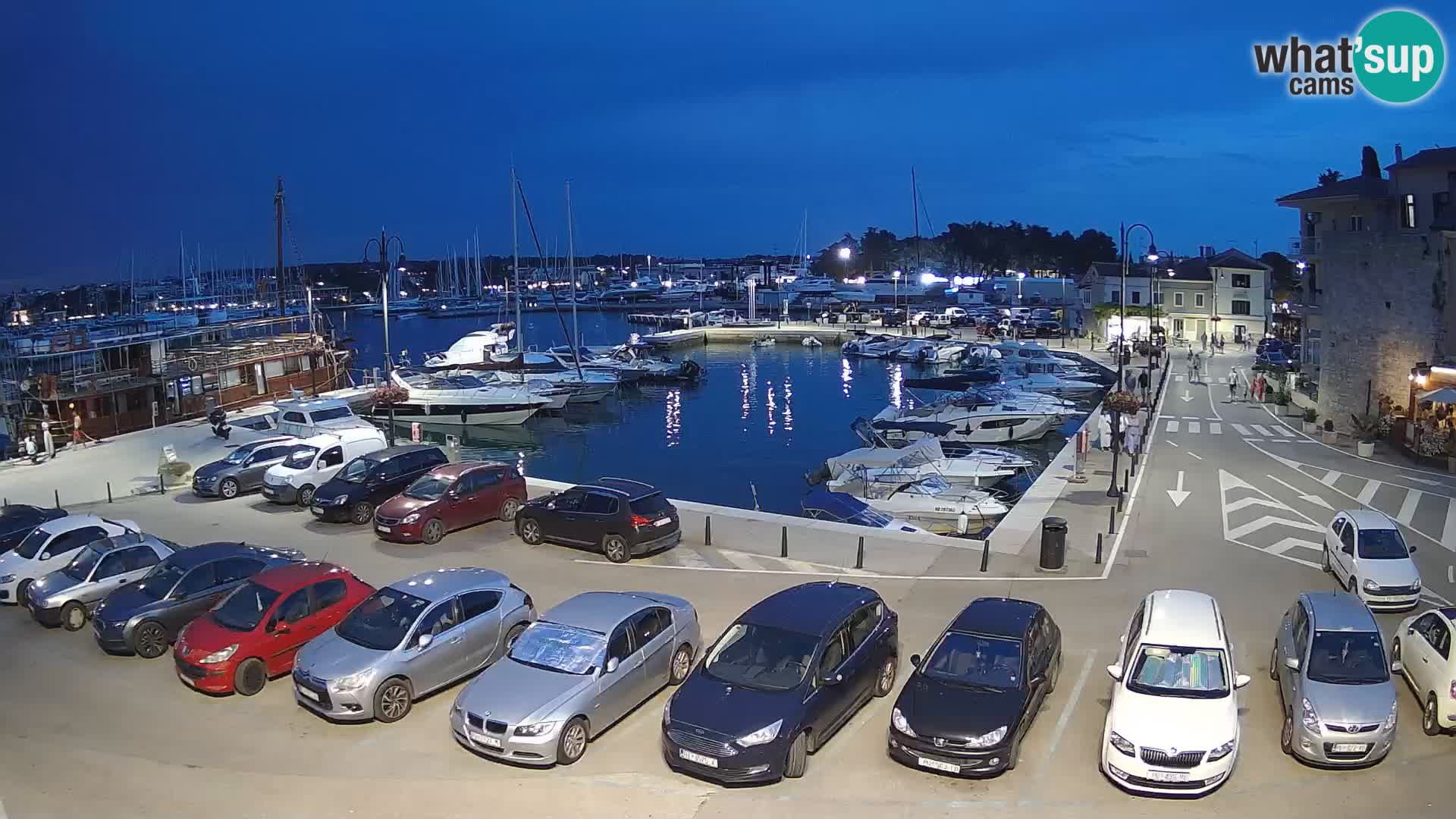 Novigrad | Porporela marina