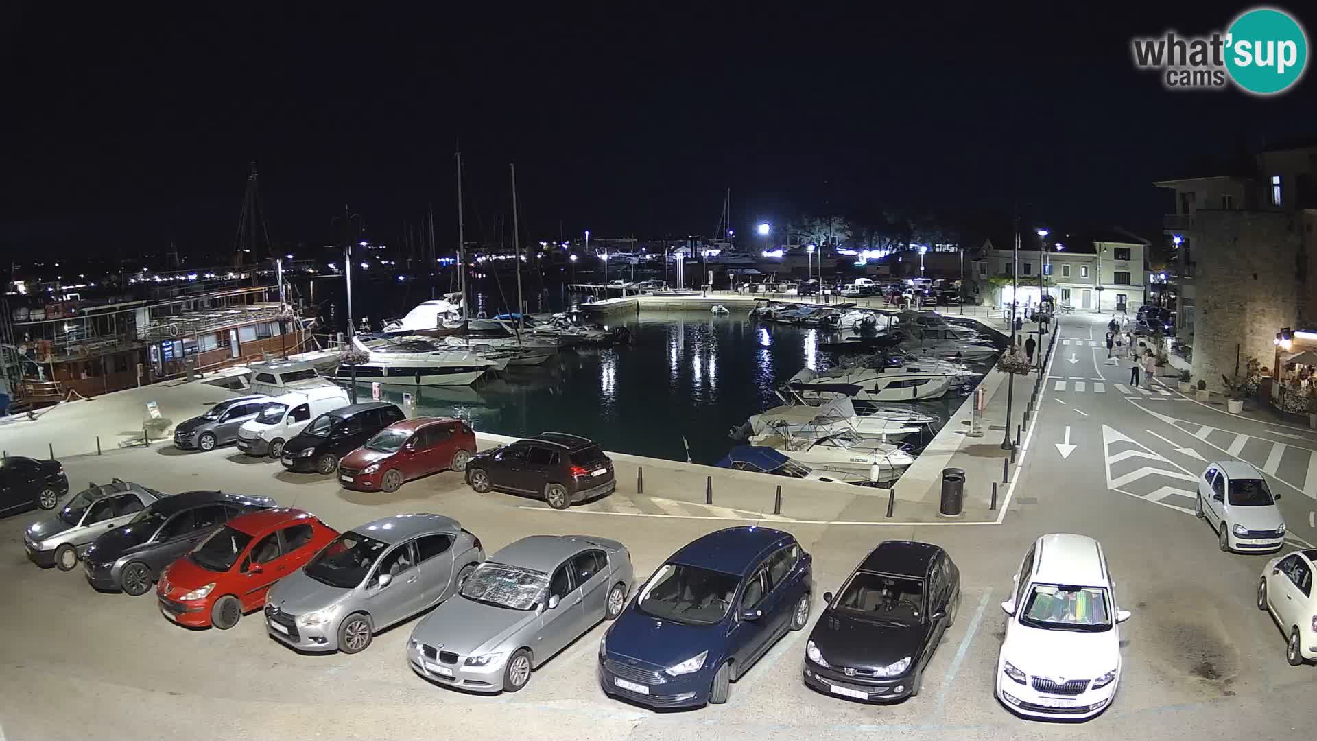 Novigrad | Porporela marina