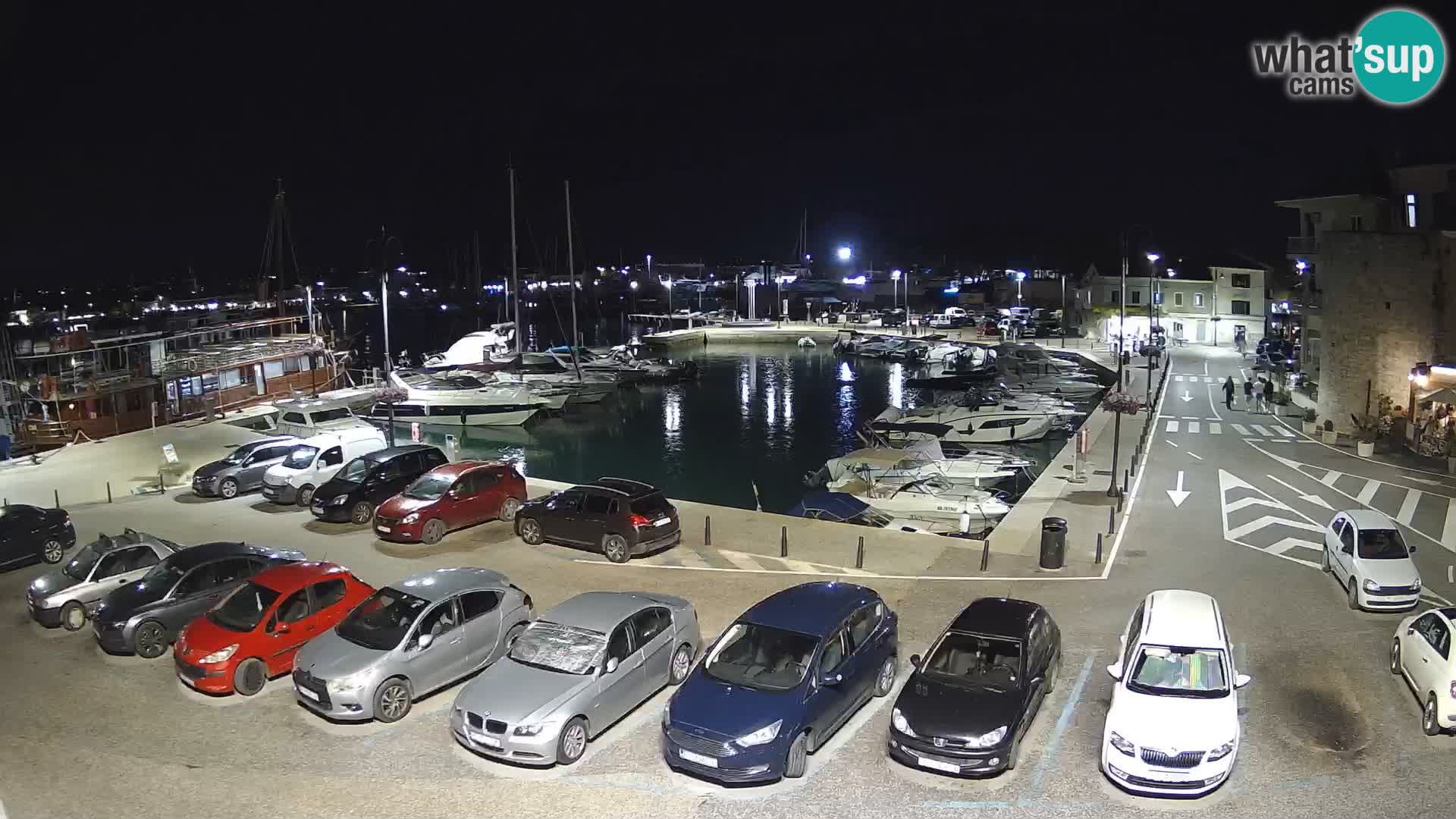 Novigrad | Porporela marina