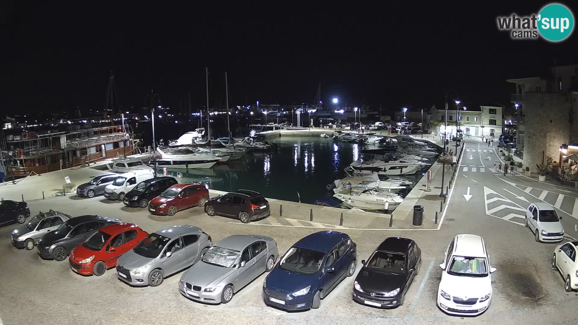 Novigrad | Porporela marina