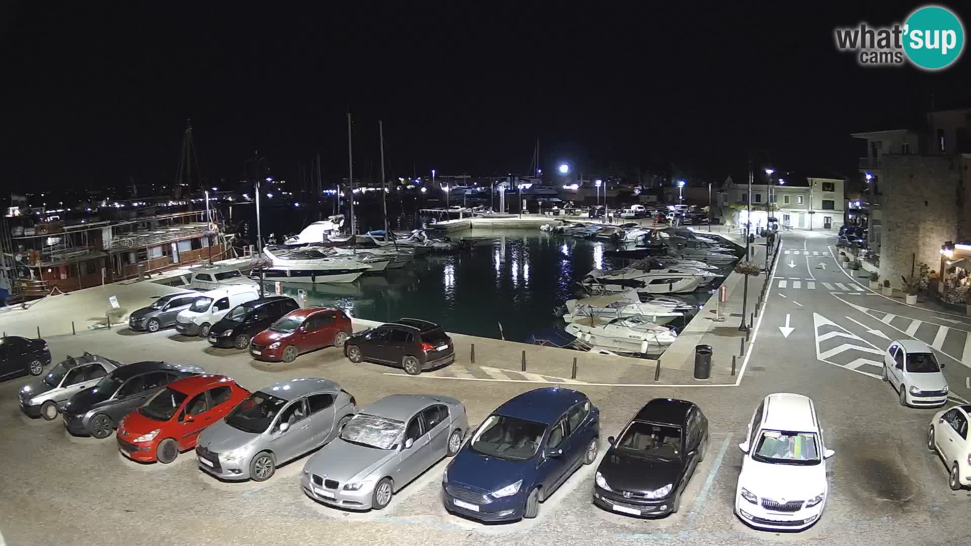 Novigrad | Porporela marina