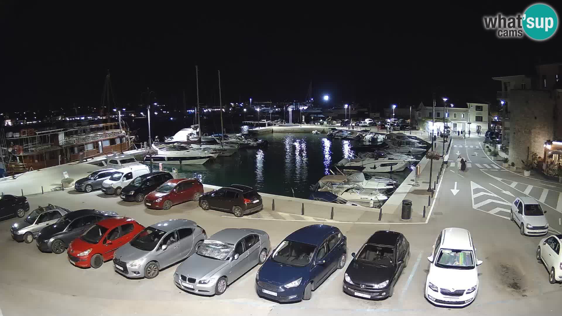 Novigrad | Porporela marina