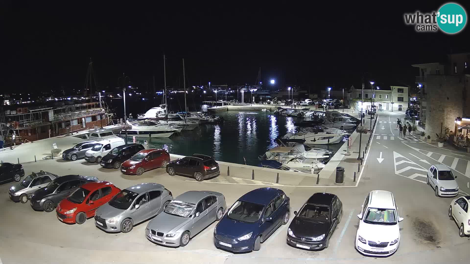 Novigrad | Porporela marina
