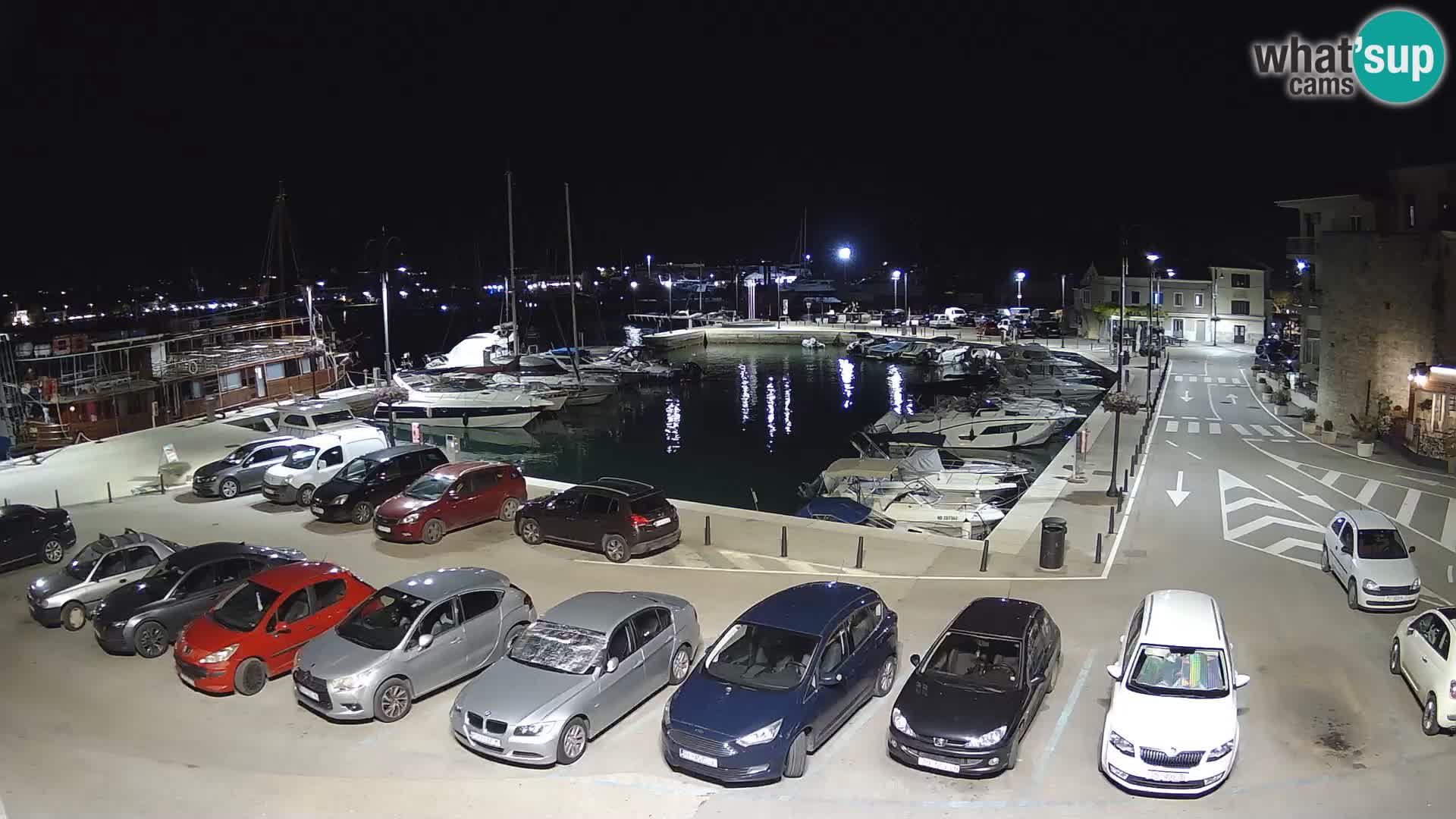 Novigrad | Porporela marina