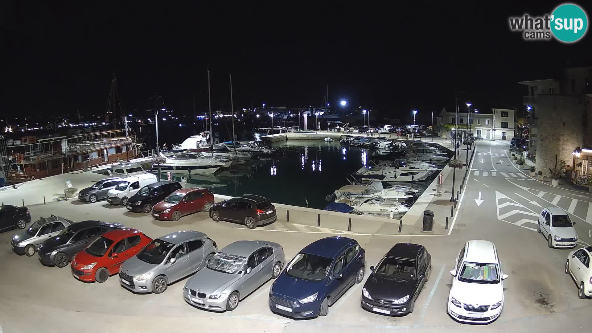 Novigrad | Porporela marina