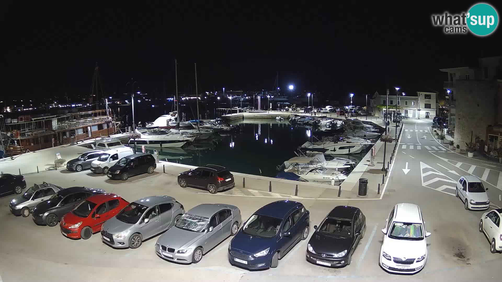 Novigrad | Porporela marina