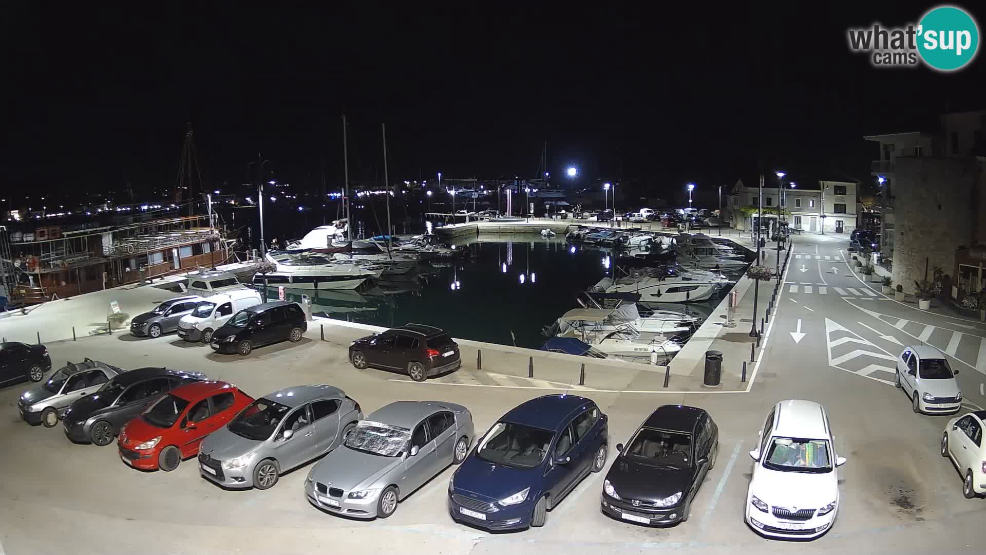 Novigrad | Porporela marina