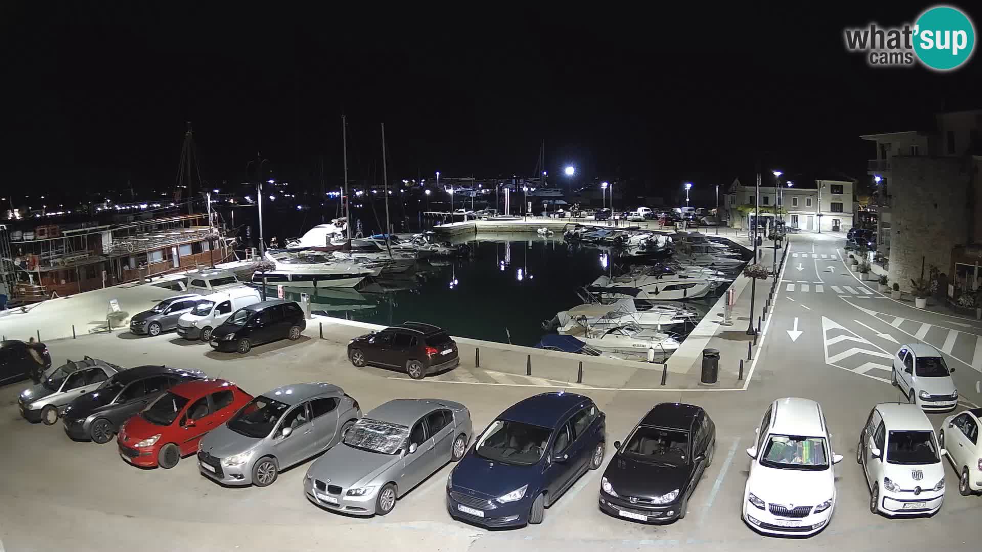 Novigrad | Porporela marina