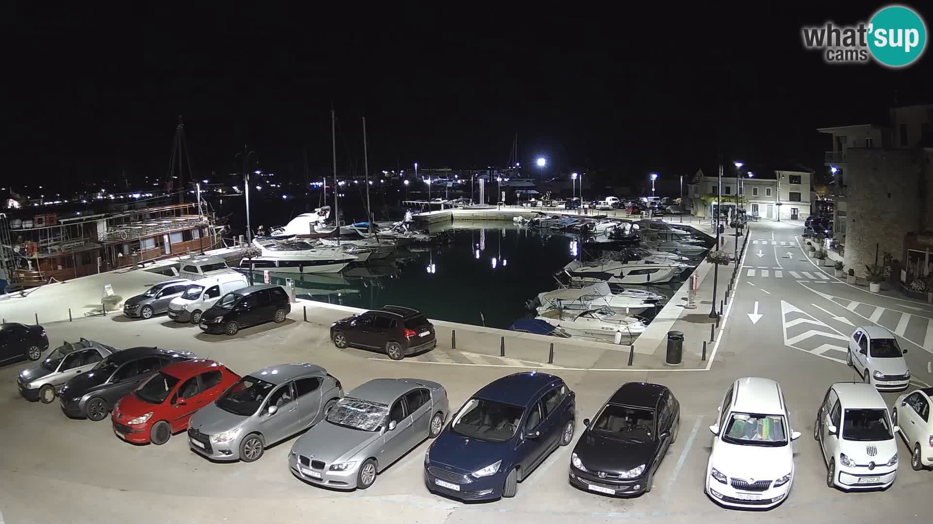Novigrad | Porporela marina