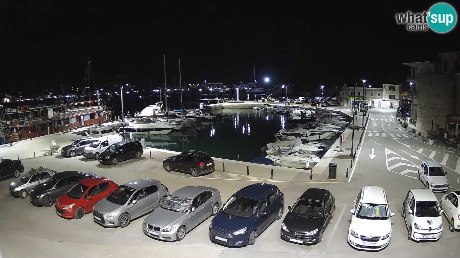 Novigrad | Porporela marina