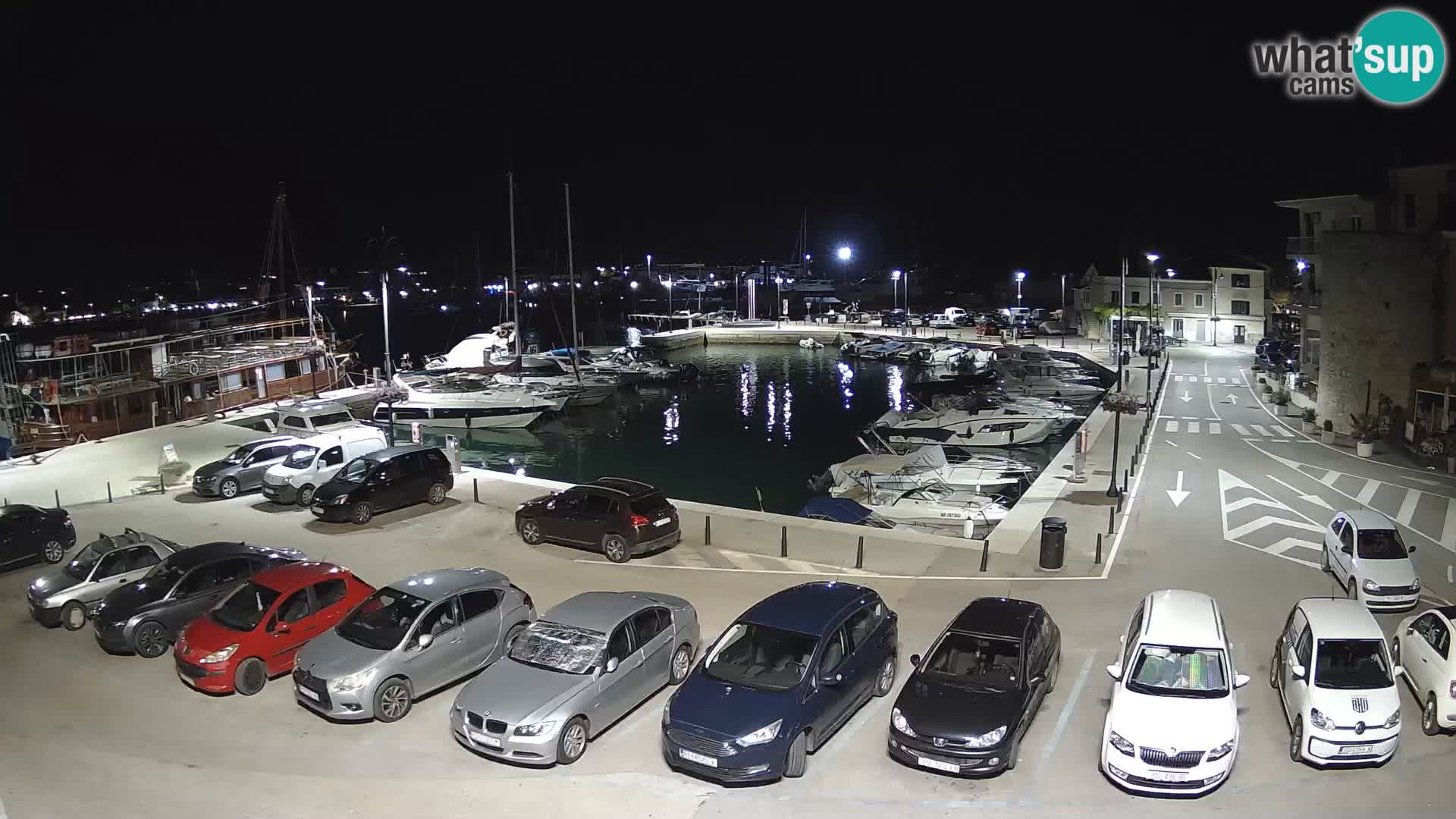 Novigrad | Porporela marina