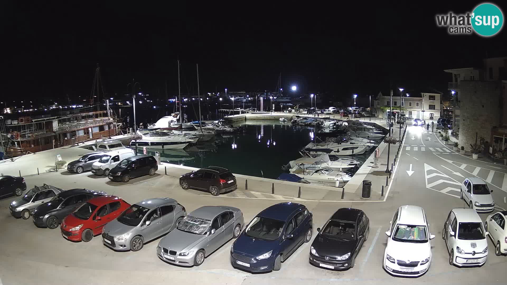 Novigrad | Porporela marina