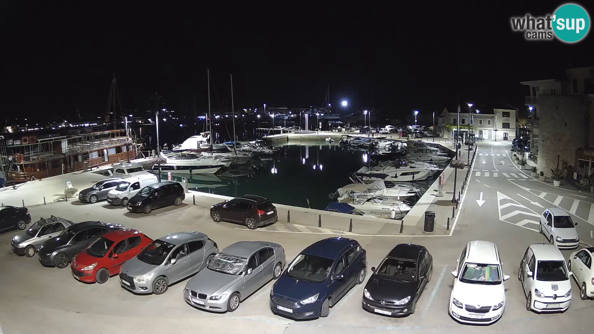 Novigrad | Porporela marina